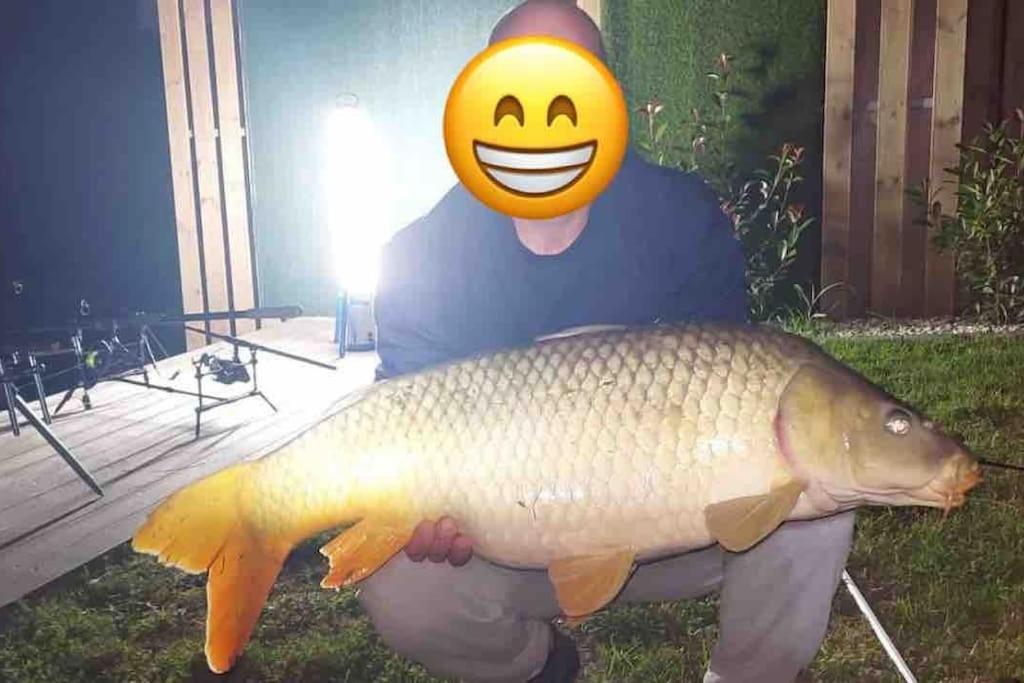 Domeglamping At Fishinglake Ságvár Εξωτερικό φωτογραφία
